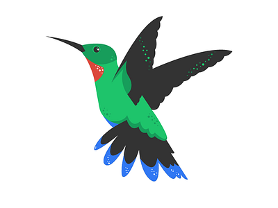 Hum bird hummingbird vector