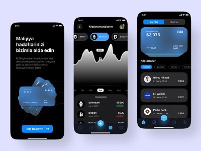 Mobile Banking Dark Theme Concept