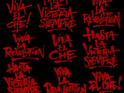 hasta la revolucion brush calligraphy che guevara lettering parallel pen revolution
