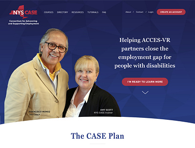 NYS CASE Website Design disability layout ui website