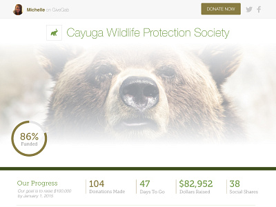 Fundraising Campaign Page animals campaign crowd funding design donations fundraising layout preservation ui wildlife