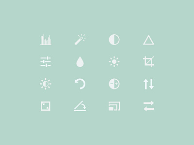 Flickr Photo Edit Icon Set