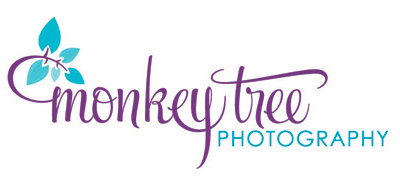 Monkey Tree Photography • Logo