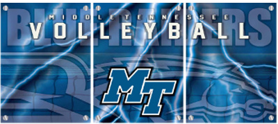 Middle Tennessee State University Volleyball Locker Room Mural