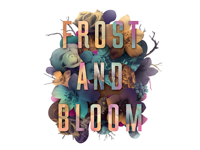 Frost and Bloom