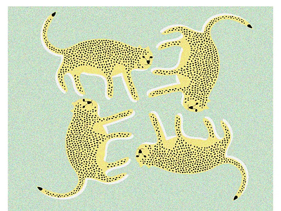 Tigre animation design graphic design illustration vector