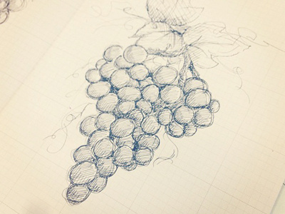 Dabble in doodling cross hatch design doodle drawn grape hand illustrate illustration ink pen sketch vine