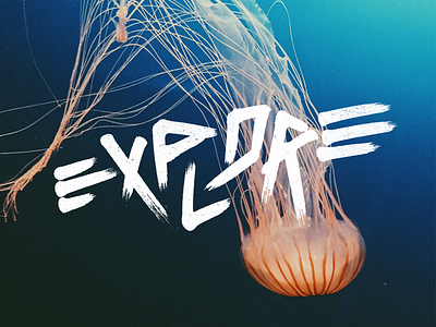 Explore