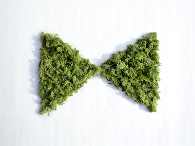 #KCDesignWeek bowtie design flag green kansas city kcdw moss triangle