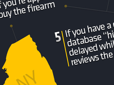 Gun Control Infographic