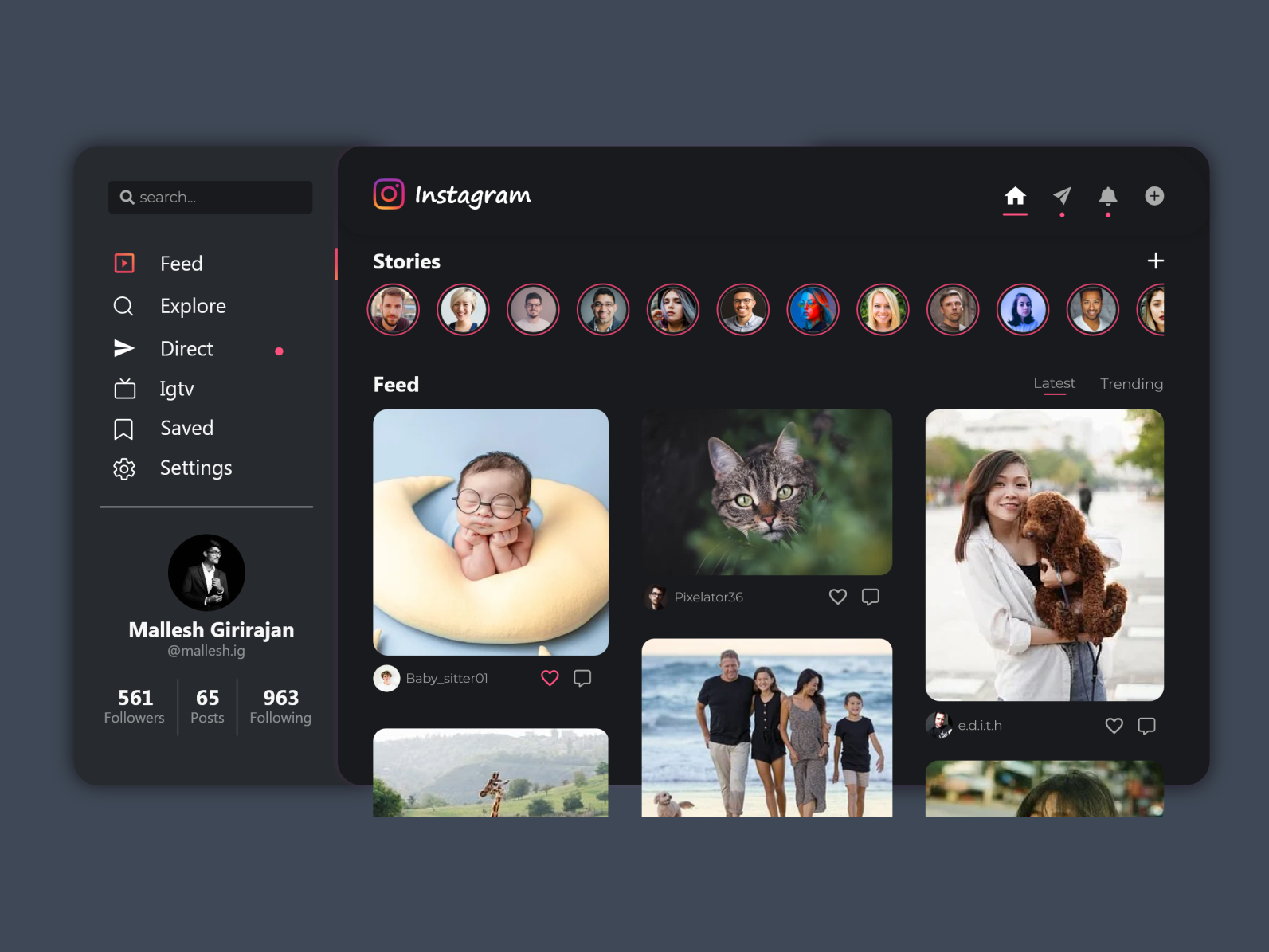 Instagram Desktop Version UI by Mallesh Girirajan on Dribbble