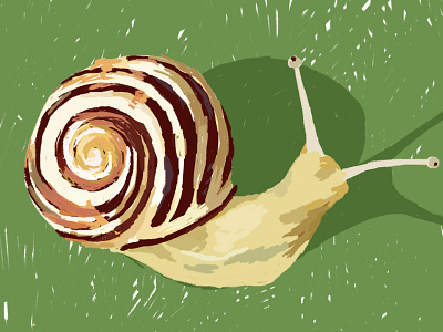 01 • Snail 🐌 illustration inktober inktober2019 snail