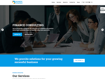 Finance Consulting WordPress Website