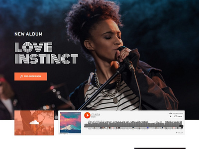Music Album WordPress Website.