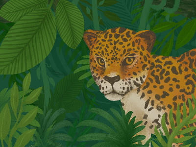 Jaguar big cat cat illustration jaguar jungle leaves