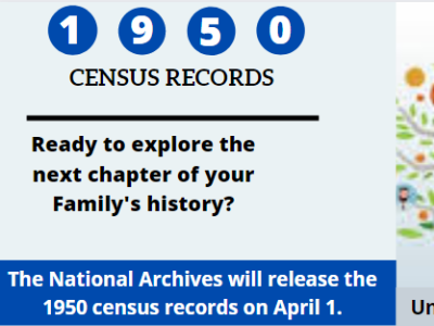 1950 Census Records By Linda Cooper On Dribbble   1950 Census Records 2 