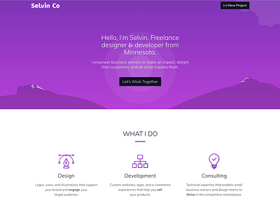 Selvin Co Website Refresh hero landing page website