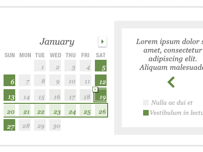 Date Picker Calendar