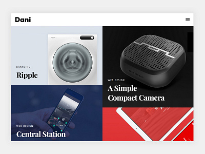 Dani Portfolio Concept