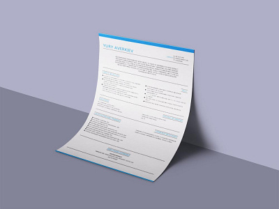 Free IT Professional Resume Template