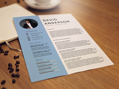 Freee Senior Accountant Resume Template cv template design free cv template free resume free resume template freebie freebies resume resume cv resume design