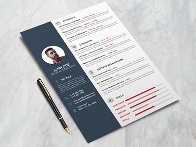 Professional CV Template (Freebie) cv cv template design free cv resume template free cv template free professional resume free resume free resume template freebie freebies photoshop psd psd design psd resume resume resume cv resume design resume template