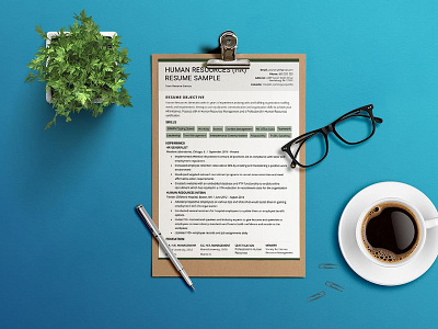 Free Human Resources Resume Template by Andy Williams on Dribbble