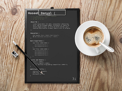 Free Programmer Resume Template