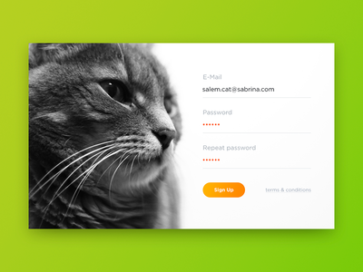 Sign Up cat dailyui form login sign in sign up ui
