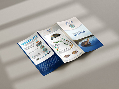 Tri Fold Brochure brochure graphic design tri fold brochure