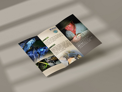 Tri Fold Brochure graphic design