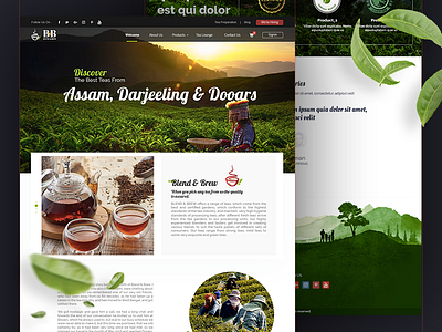 Blend&Brew blenbrew tea website design ui design website design