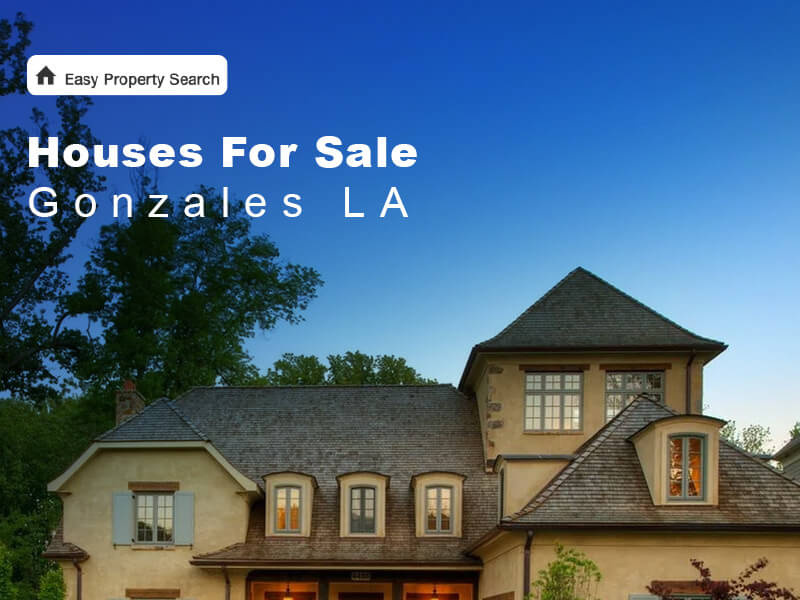 Houses for sale Gonzales LA with new Methods in 2022 by Easy Property