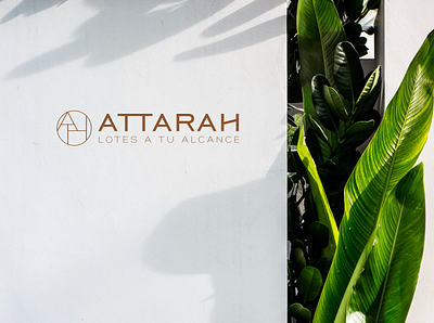 ATTARAH branding graphic design logo merida mexico
