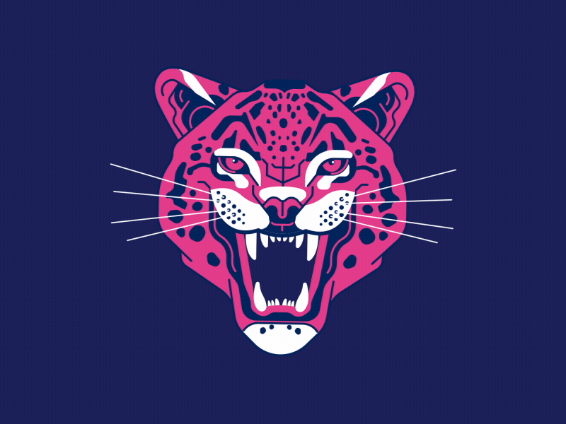 Cheetah 2d animal animation character cheetah colors flat growl illustration loop purple vector