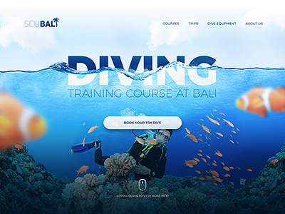 Landing page header for diving school