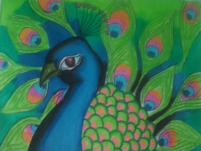 Peacock - The National Bird of India