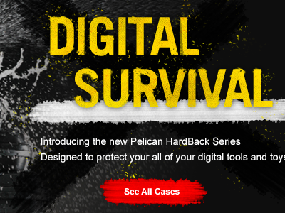 Pelican Cases Web Banner banner brush button cta grunge home red site web x yellow