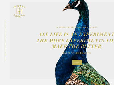 Durant & Booth Homepage Design design gold peacock quote typography web wine