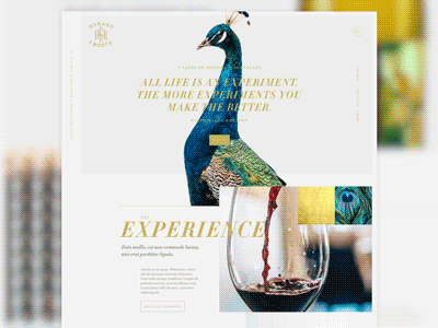 Durant & Booth Web Design didot gif napa valley typography unique web design wine
