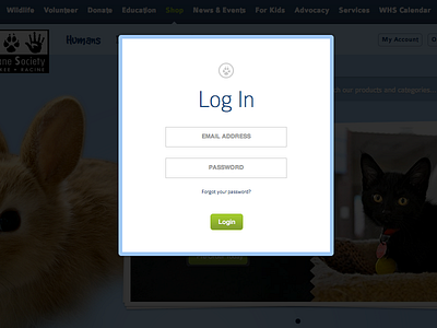 Webshop Design WIP | Account Log In animals design typography ui ux web web design