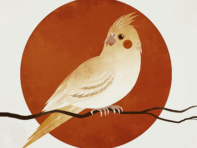 Сockatiel animal art bird digital art illustration illustrator parrot retro