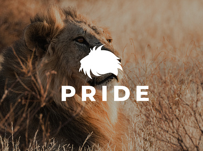 Pride branding branding design design graphic design icon logo product design