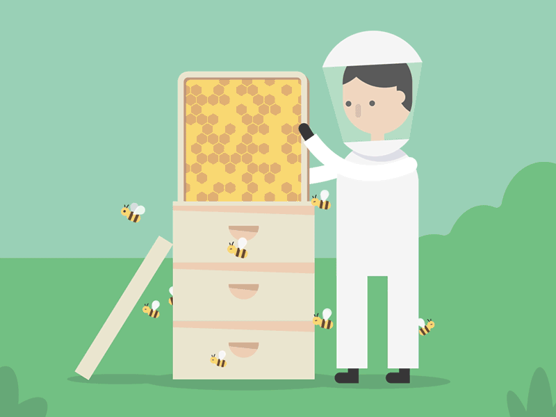 Beehive inspection 🐝