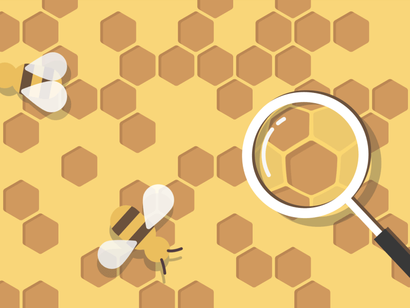 Bees! 🐝 animation bees brood chamber gif honeycomb inspection loop