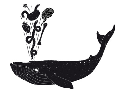 Whale black draw guts illustration spit whale