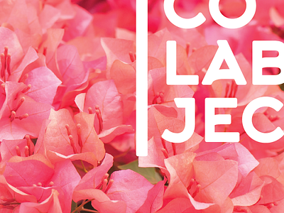 logo comp clean colab custom design flowers logo management modern pink typography
