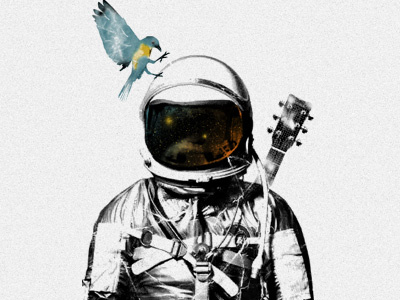 bird in space suit