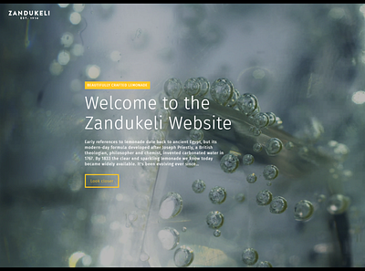 Webdesign for Zandukeli