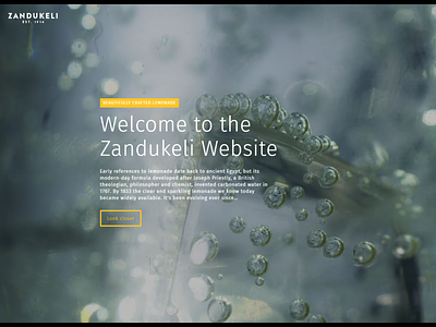 Webdesign for Zandukeli